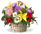 Friendship Day Flowers